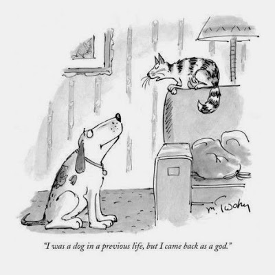 View joke - My cat was talking to my dog the other day: I was a dog in a previous life, but I came back as a god.