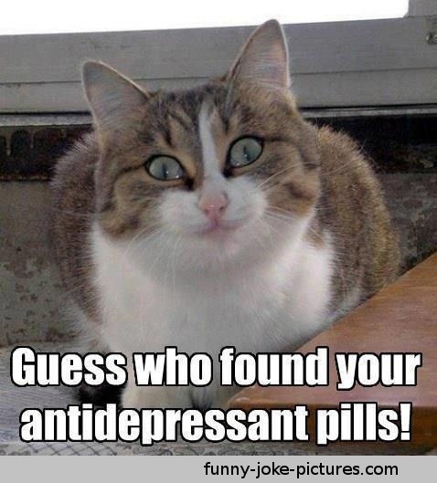 View joke - Guess who found your antidepressant pills