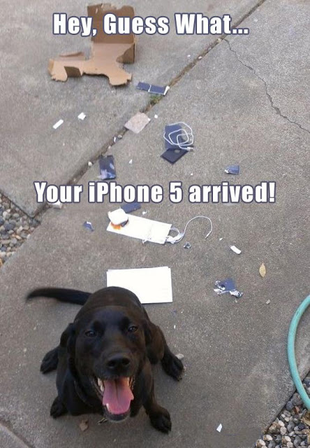 View joke - Hey, guess what ... Your iPhone has arrived !