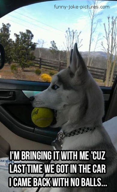 View joke - He does not trust you anymore. - I'm bringing it with me, because last time we got in the car I came back with no balls ...