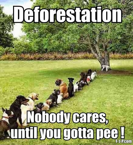 View joke - Deforestation. Nobody cares, until you have to pee!