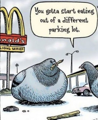 View joke - Dear, you have got to start eating out of a different parking lot.