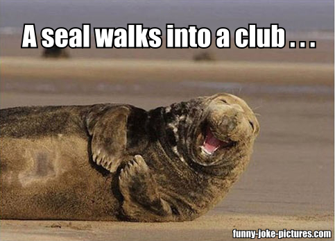 View joke - A seal walks into a club ...