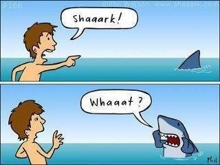 View joke - You scared that poor shark ... 