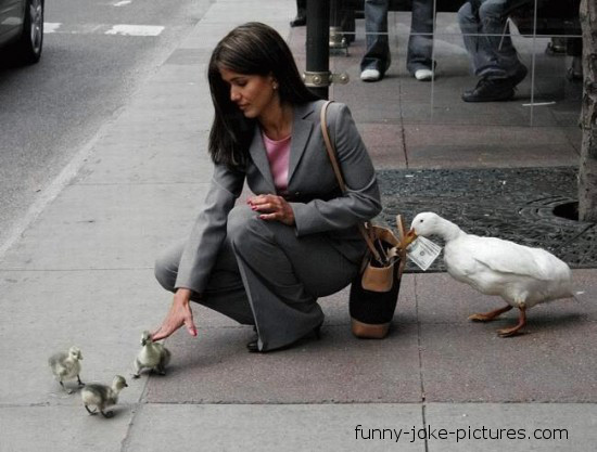 View joke - Teamwork. Stealing level: duck.