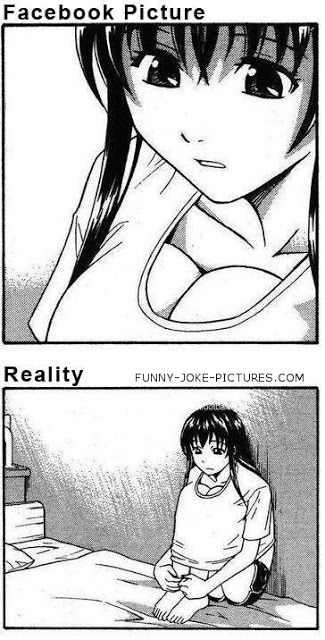 View joke - Facebook picture vs reality. Check it twice.