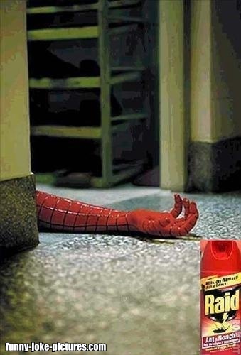 View joke - Raid kills all insects. All of them. Wait, is that Spider-man ?