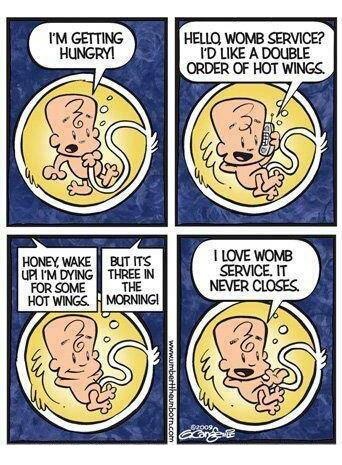 View joke - I'm getting hungry.  - Hello, womb service? I'd like a double order of hot wings. - Honey, wake up. I'm dying for some hot wings. - But it'a three in the morning. - I love womb service, it never closes.