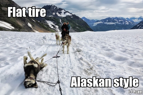 View joke - Last year I visited Alaska. As I was driving I had a flat tire