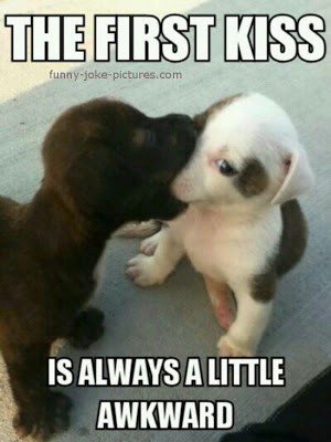 View joke - The first kiss is always a little awkward.