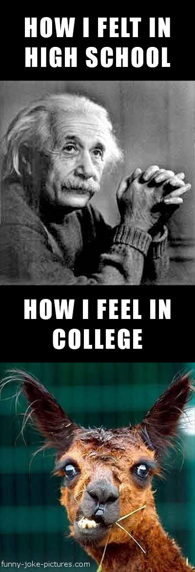 View joke - How I felt in high school. How I feel in college