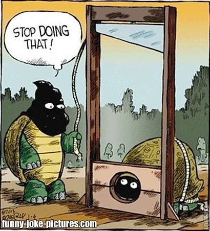 View joke - Turtle, stop doing that !