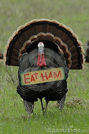 View joke - Turkey's protest. Eat ham. 