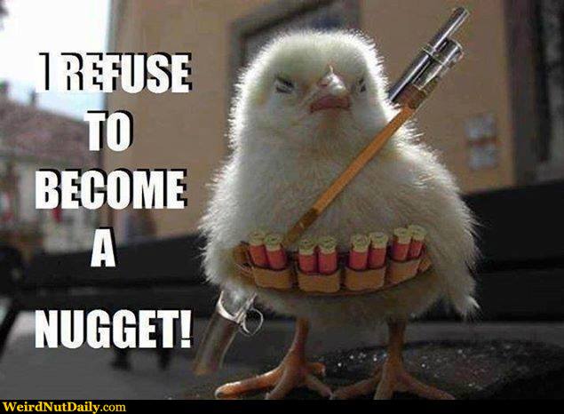 View joke - I refuse to become a nugget. 