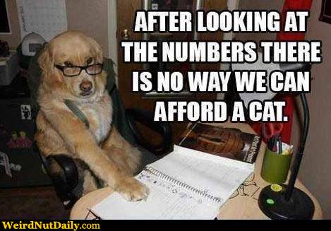 View joke - After looking at the numbers there is no way we can afford a cat