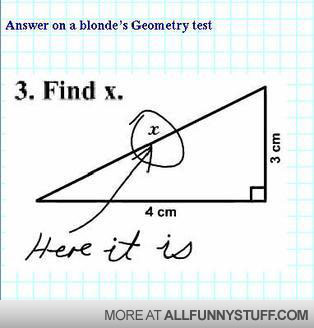 View joke - Answer on a blonde's Geometry test. Find x - there it is. Duh.