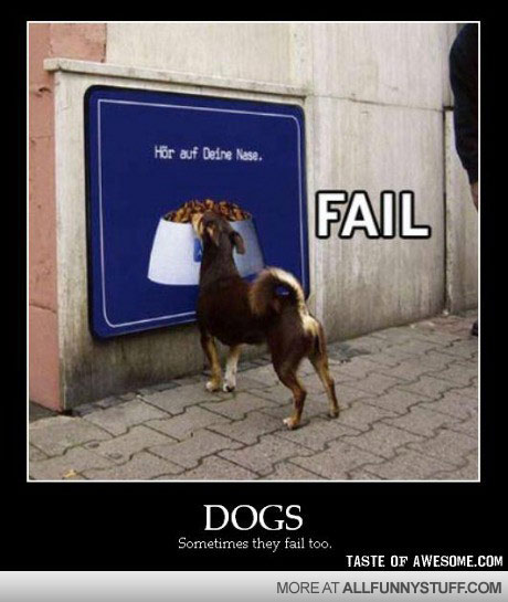 View joke - Dogs, sometimes they fail to. At least he tried.