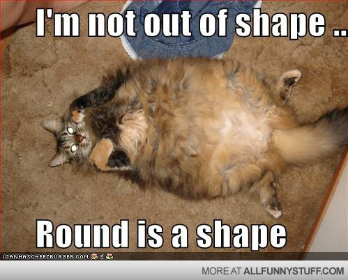 View joke - I'm not out of shape. Round is a shape.