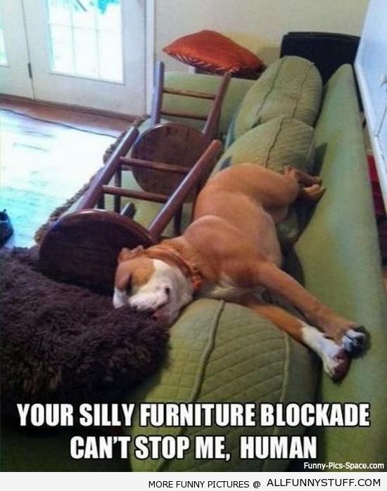 View joke - You failed again, human. Your silly furniture blockade can't stop me