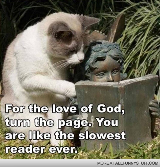 View joke - For the love of god, turn the page. You are like the slowest reader ever.