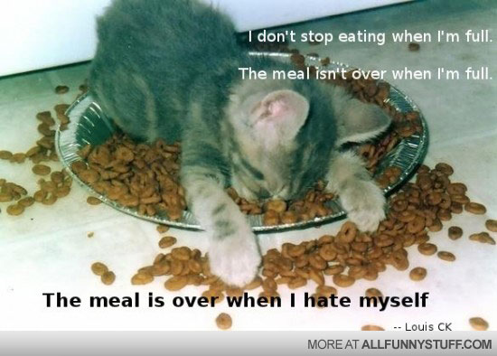 View joke - I don't stop eating when I'm full. The meal isn't over when I'm full. The meal is over when I hate myself.