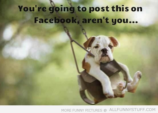 View joke - You are going to post this on facebook, aren't you? Oh, no. You may also put it on Pinterest too. 