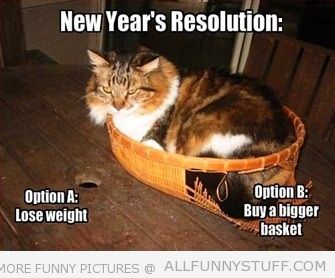 View joke - New Year's resolution: buy a bigger basket