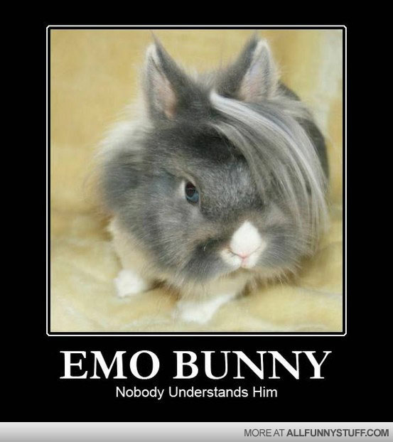 View joke - Emo bunny. Nobody understands him. And don't even ask him anything about his haircut.