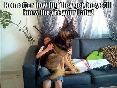 View joke - No matter how big they get, they still know they are your baby.