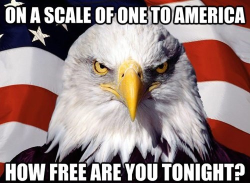 View joke - On a scale of one to America, how free are you tonight?