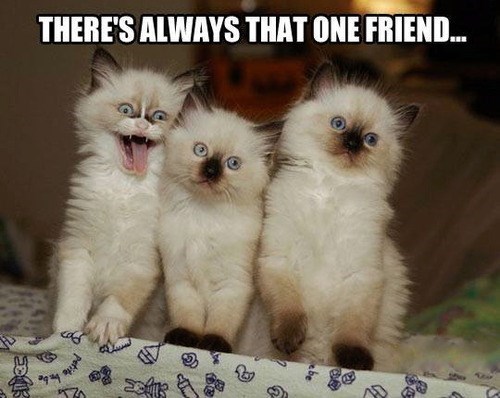 View joke - There is always that one friend.