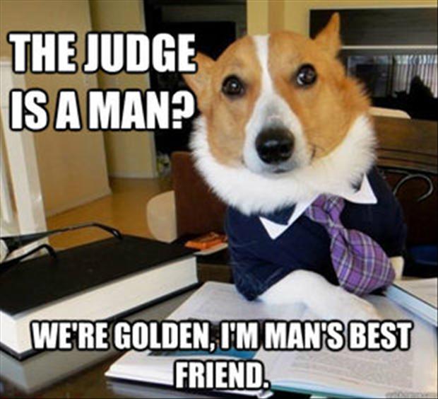 View joke - The judge is a man ? We're golden, I'm man's best friend.