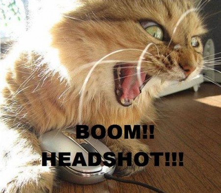 View joke - You don't want to play against this cat.
