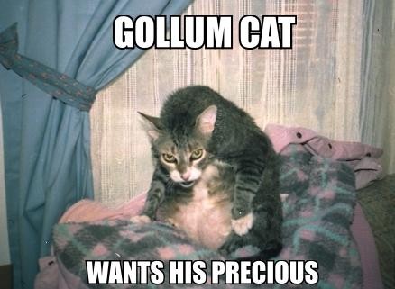 View joke - Gollum cat wants his precious