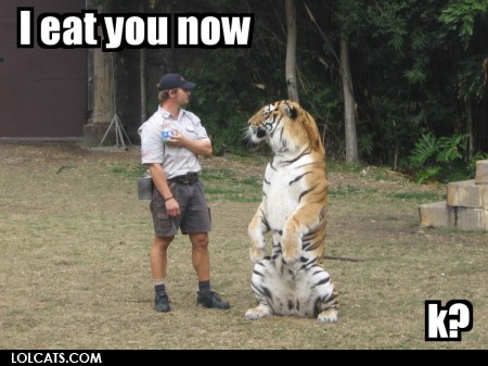 View joke - This tiger is done playing. 