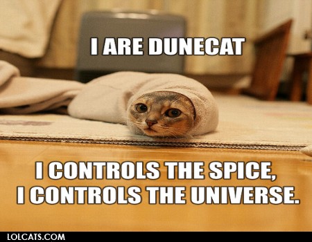 View joke - I am dun-cat. I control the space. I control the Universe.