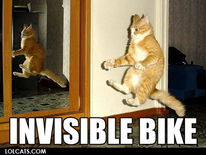 View joke - My cat ridding his invisible bike.