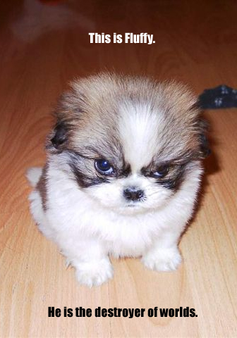 View joke - This is fluffy. He is the destroyer of the worlds. Be nice to him and give him some milk.
