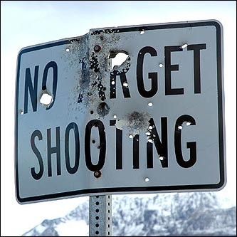View joke - No target shooting. Come on guys! Really ?
